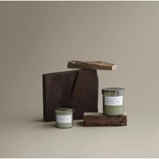 Vonná sójová sviečka doba horenia 45 h Valoa Fig Tree - Lime – Blomus