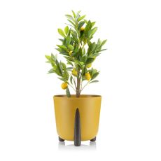 PLASTOVÝ KVETINÁČ MOSS ECO 25X26 CM HORČICOVÁ