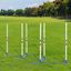 Agility slalom pre psov