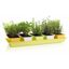 Gardenico Sada truhlíkov Mini Garden 5 ks, 60 cm