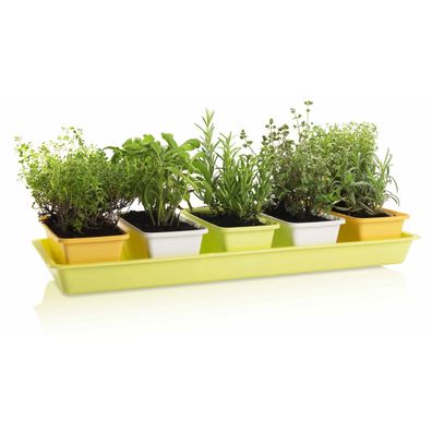 Gardenico Sada truhlíkov Mini Garden 5 ks, 60 cm