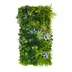 Vertical garden Tropical