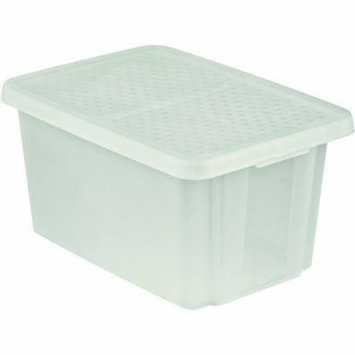 Curver Úložný box Essentials s vekom 45 l, číra, 45 l