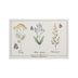 Prestieranie Summer flowers Tansy, 45 x 30 cm, sada 4 ks