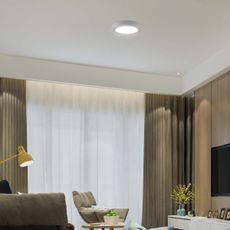 LED Stropné svietidlo LED/24W/230V 6500K pr. 28,8 cm