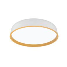 XXXL STROPNÉ LED SVIETIDLO, 50/8 cm