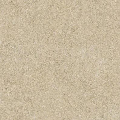 Gresová dlažba Hektor Taupe 60/60 (2 cm)