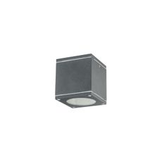 Vonkajšie stropné svietidlo QUAZAR 1xGU10/20W/230V IP44