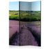 Paraván Lavender fields Dekorhome 135x172 cm (3-dielny)