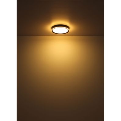 Globo 41588D2 - LED Stropné svietidlo BELISSA LED/58W/230V pr. 50 cm