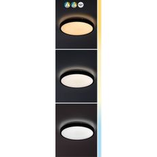 Rabalux 71440-LED Stm. kúp. stropné svietidlo ALENZO LED/36W/230V IP44 čierna +DO