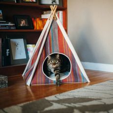 Teepee stan pre domáceho miláčika 63x63 cm Cozy Cove Desert – P.L.A.Y.