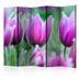 Paraván Purple spring tulips Dekorhome 135x172 cm (3-dielny)