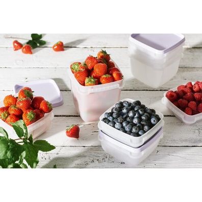 SmartStore Sada plastových dóz Freezer 6 ks, levanduľa, 300 ml, 300 ml