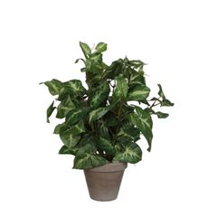 XXXL UMELÁ RASTLINA 35 cm