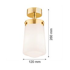Argon 8005 - Prisadený luster PASADENA 1xE27/15W/230V zlatá/biela