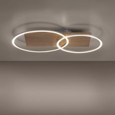 Paul Neuhaus 8329-79 - LED Stmievateľný prisadený luster PALMA LED/26W/230V + DO