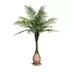 Artificial palm Dypsis Areka 250cm