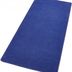 Hanse Home Collection koberce Kusový koberec Fancy 103007 Blau - modrý - 100x150 cm