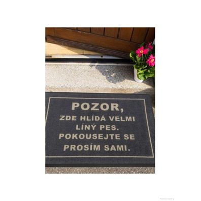 GDmats , Rohožka Lenivý pes 40x60 cm – na von aj na doma, 40x60, šedá