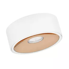 Moderné bodové svietidlo Neo Slim LED biela/zlatá