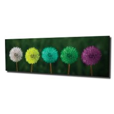 Wallity Obraz na plátne Dandelions PC93 30x80 cm