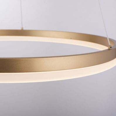 Paul Neuhaus 2382-60 - LED Stmievateľný luster na lanku TITUS LED/38,5W/230V