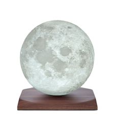 Tmavohnedá LED stolová lampa z orechového dreva (výška 19,5 cm) Smart LunaSpin – Gingko
