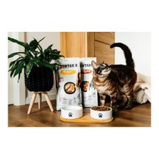 Keramická súprava misiek s podstavcom pre psa ø 13 cm Dog Fantasy – Plaček Pet Products