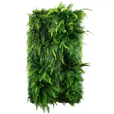 Vertical garden Easy Fern