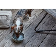Silikónová skladacia cestovná miska pre psa ø 15,5 cm Piega Slate – MiaCara