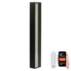 Immax NEO 07247L- LED Stmievateľné vonkajšie svietidlo 40W/230V Wi-Fi Tuya IP44 +DO