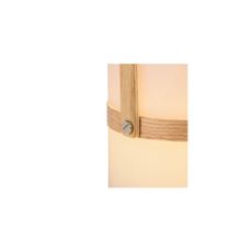Lucide 06800/03/31 - LED Stmievateľná vonkajšia lampa JOE LED/3W/3,7V IP44