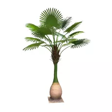 Artificial palm Dypsis 250cm