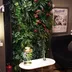 Vertical garden Tropical