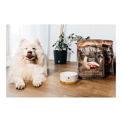 Keramická miska pre psa ø 16 cm Dog Fantasy WOOF – Plaček Pet Products