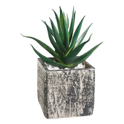 Eglo 428008 - Umelá rastlina v kvetináči CHITOSE 13x9,5 cm sukulent