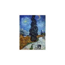 Reprodukcia obrazu Vincent van Gogh - Country Road in Provence by Night, 60 x 45 cm