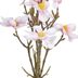 Umelá kvetina (výška 41 cm) Magnolia – Ixia