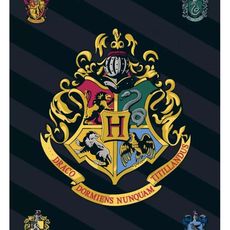 DETSKÁ FLEECOVÁ DEKA HARRY POTTER 100X140 CM VZOROVANÁ