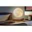 Hnedá LED stolová lampa (výška 14 cm) Moon – Gingko