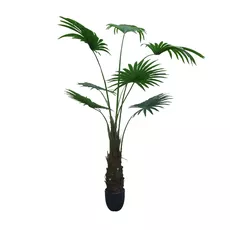 Artificial plant Washingtonia Robusta 180cm