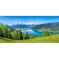 Monee UMELECKÁ TLAČ, krajina a príroda, 120/55 cm