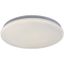 Rabalux 71104 - LED Stropné svietidlo VENDEL LED/12W/230V 4000K 25 cm