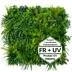 Vertical garden Crispseed FR UV