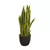 Artificial plant Sansewieria Laurentii 65cm