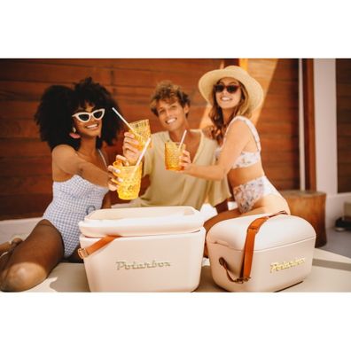 Chladiaci box staroružový 12 l Classic – Polarbox