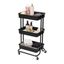 Čierny plastový pojazdný regál 43x36 cm Grena – Compactor