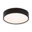 Rabalux 75011 stropné LED svietidlo Larcia, 19 W, čierna