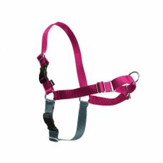 PetSafe Postroj EasyWalk malinový M